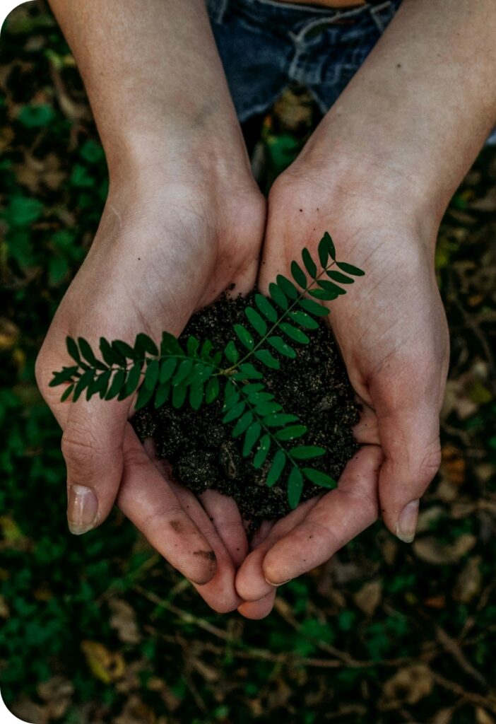 Mani che raccolgono un germoglio, rappresentazione di cura per l'ambiente.